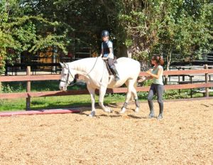  Maynard's Pony Meadows, Vancouver