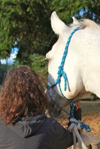 at home on Salt Spring Island, B.C.
