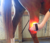 Applying red light with the Respond System.  www.emersonww.com