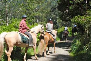 Happy trails to all!