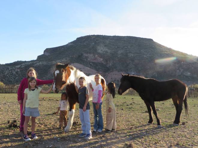 Photo courtesy Matthew Bonnstetter, TT Ranch, Arizona