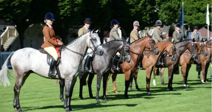 photo: irishtimes.com