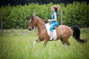 The wonderful freedom of galloping bareback (although we always recommend the rider wear a helmet!) www.horsemanmagazine.com
