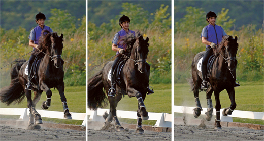 Flying lead change sequence (photo: www.equisearch.com)