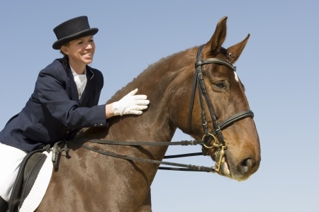 DressageHorse