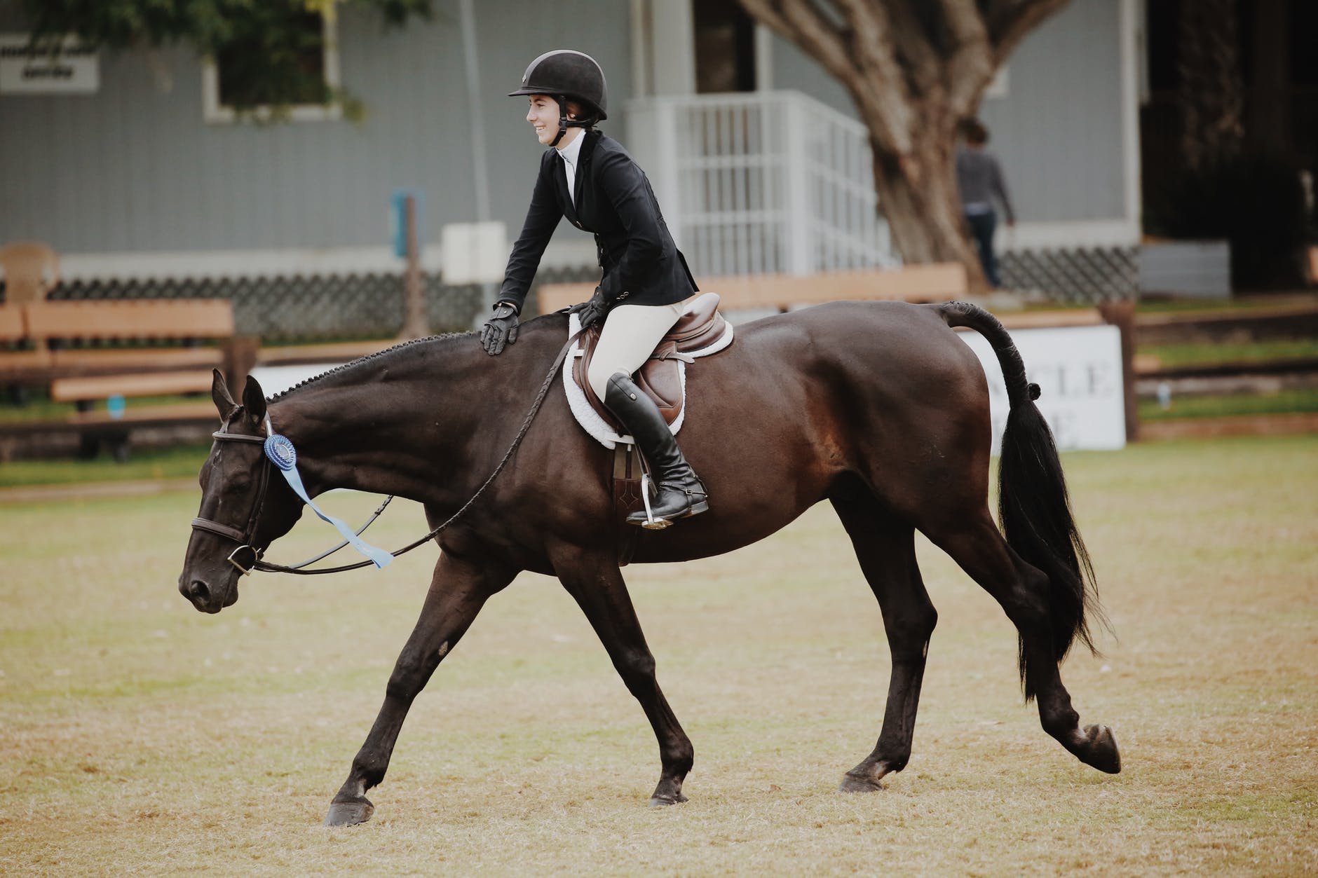 woman riding horse